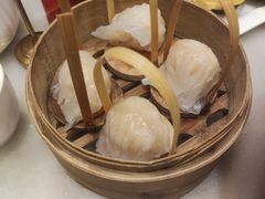 -金鼎轩(方庄天坛店)