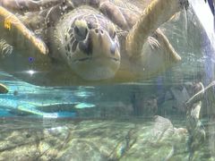 -福州罗源湾海洋世界旅游区