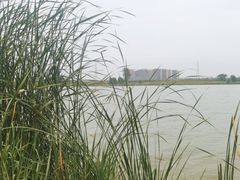 -渭河城市绿地运动公园