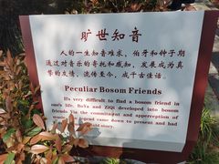-古琴台