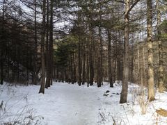 -秦岭风景区