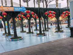 -海合安成都极地海洋公园