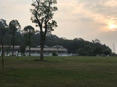 -中国沉香文化博物馆