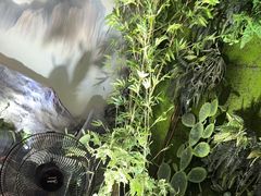 -木子塘汗蒸生活馆(财富港店)