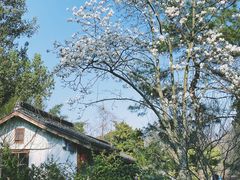 -杭州植物园