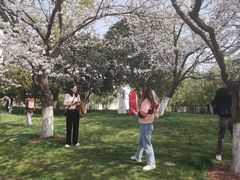 -堤角公园
