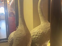 -巢湖名吃·东关老鹅汤(江南风情街店)