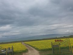 -青海湖国家重点风景名胜区