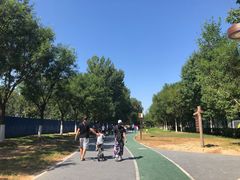 -回龙观体育文化公园