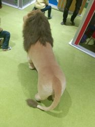 -幻贝家儿童乐园(苏州中心店)