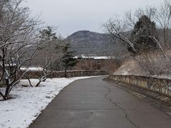 -北京西山国家森林公园