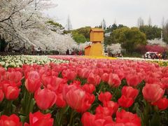-苏州上方山国家森林公园