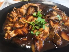 -京北渔家傲