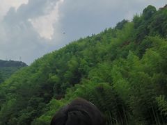 -四明山国家森林公园