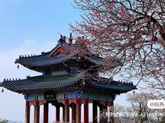 -梅花山(明孝陵内)