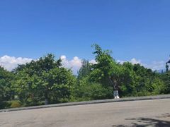 -西昌邛海湿地