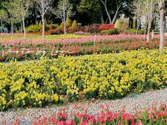 -文华公园(禅城区)