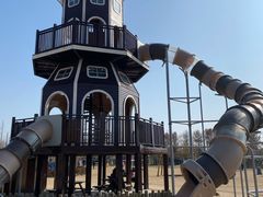 -上海长兴岛郊野公园