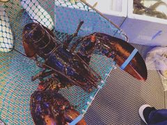 -協成海鮮火鍋(老店)