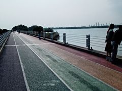 -贡湖湾湿地公园