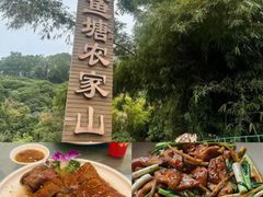 -鲤鱼塘农家山庄