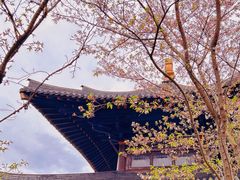 -广富林郊野公园
