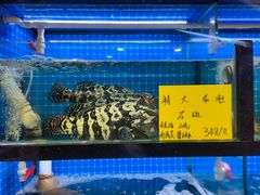 -醉壹号海鲜大排档(厦门美食地标店)