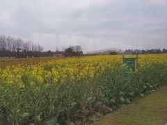 -中国天府农业博览园