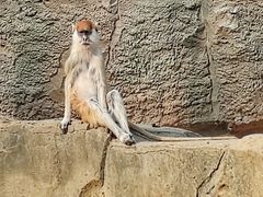 -杭州野生动物世界