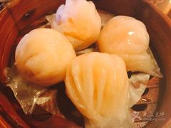 -颐和•海鲜砂锅粥•啫啫煲(奥林匹克广场店)