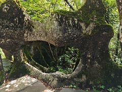 -山王坪喀斯特国家生态公园