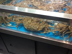 水产区-盒马鲜生(189购物中心店)