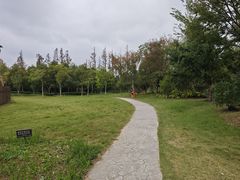 -上海长兴岛郊野公园