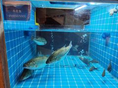 -香宫中餐厅 · 桂林香格里拉