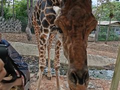 -清迈夜间动物园