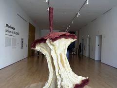 -旧金山现代艺术博物馆