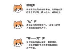 -唐小姐の猫狗洗护·购宠旗舰店(周浦万达店)