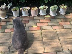 -Rabbit Cafe私房西餐甜点咖啡(栖霞路店)