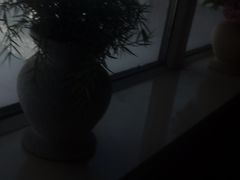 -正飞鲜奶(南湖一期店)