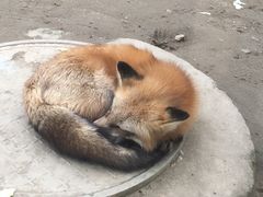 -无锡动物园·太湖欢乐园