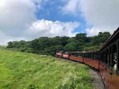-济州森林小火车生态公园