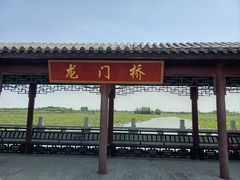 -泗洪洪泽湖湿地景区