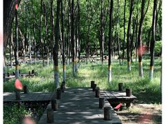 -东升八家郊野公园