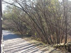 景点-五营红松林海景区