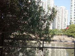 -苏州河梦清园环保主题公园