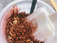 椰奶雪雪冻-眞宗·椰汁是大王(小娄巷店)