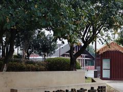 -盘龙城国家考古遗址公园