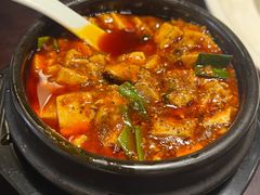 -陈麻婆豆腐总店