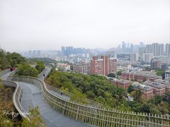-福道