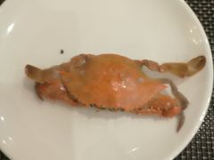 -金狮国际酒店自助餐(金狮店)